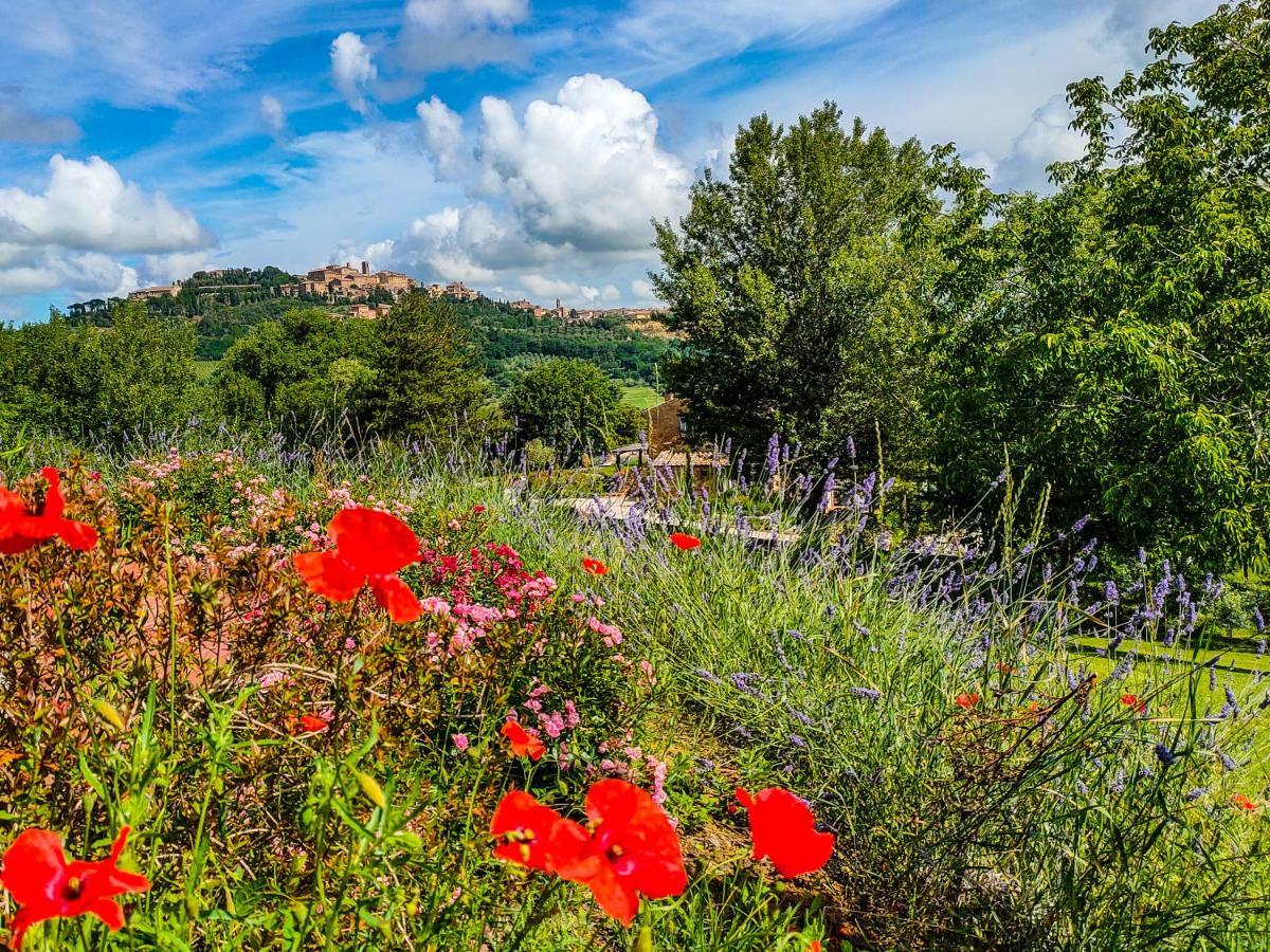 Fonte Martino Guest House & Estate Montepulciano Stazione Exteriör bild